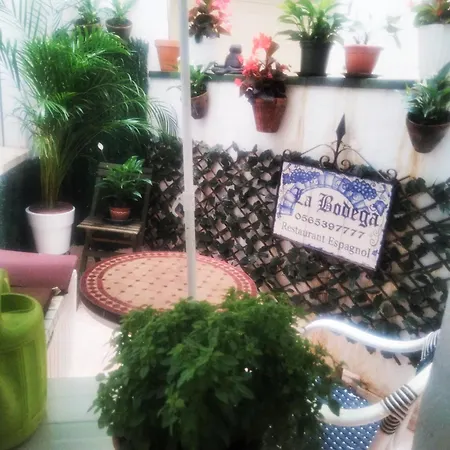 Alteamar 1 Отель типа 
